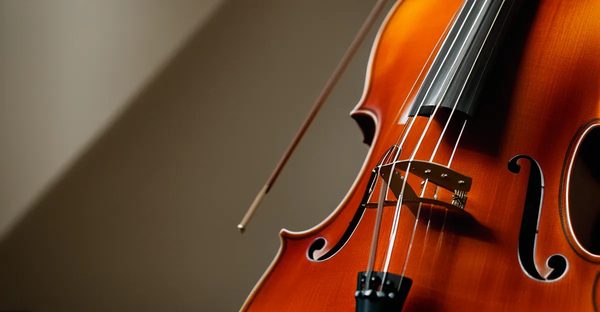 Sourdines pour violoncelle : guide des choix et prix